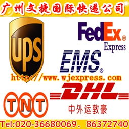 一站式指南 國際快遞查詢、公司選擇與廣州貨物進出口全解析